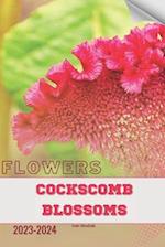 Cockscomb Blossoms
