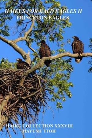 Haikus for Bald Eagles II