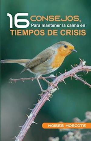 16 Consejos para mantener la calma en tiempos de crisis