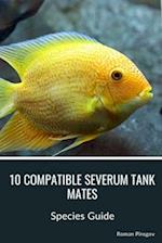 10 Compatible Severum Tank Mates