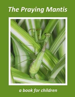 The Praying Mantis - a book for children