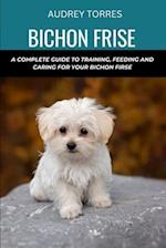 Bichon frise