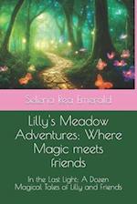 Lilly Meadow Adventures; Where Magic meets friends