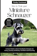 How to Train Your Miniature Schnauzer