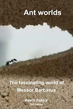Ant worlds