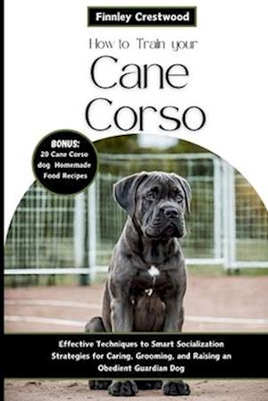 How to Train Your Cane Corso