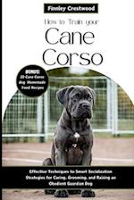 How to Train Your Cane Corso