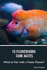10 Flowerhorn Tank Mates