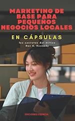 Marketing de base para pequeños negocios locales En Cápsulas