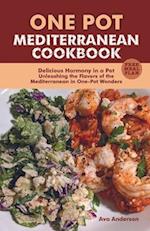 one pot Mediterranean cookbook