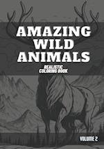 Amazing Wild Animals