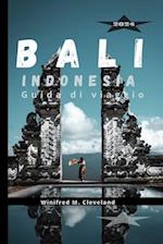 Bali, Indonesia Guida Di Viaggio 2024