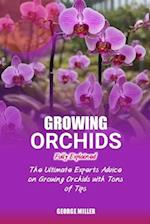 Growing Orchids Fully Explained