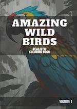 Amazing Wild Birds