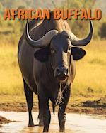 African Buffalo