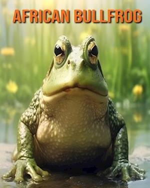 African Bullfrog