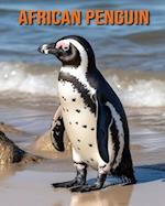 African Penguin