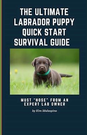 The Ultimate Labrador Puppy Quick Start Survival Guide