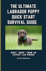 The Ultimate Labrador Puppy Quick Start Survival Guide