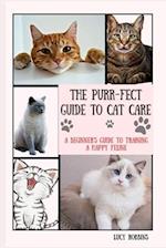 The Purr-fect Guide To Cat Care
