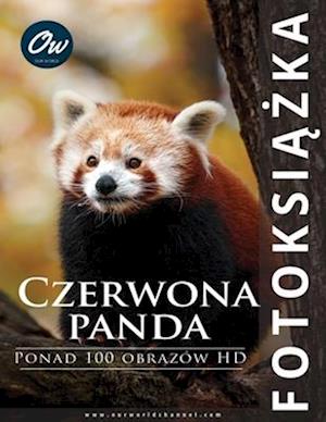 Czerwona panda