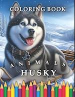 Husky Coloring Book