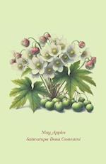 May Apples