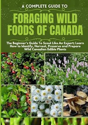 A Complete Guide to Foraging Wild Foods of Canada