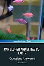 Can Glofish and Bettas Co-Exist?