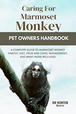 Caring for Marmoset Monkey