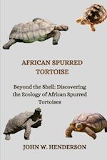 African Spurred Tortoise