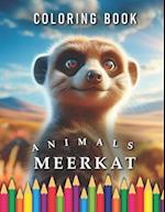 Meerkat Coloring Book