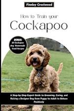 How to Train Your Cockapoo