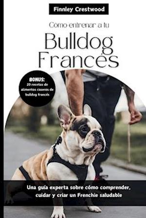 Cómo entrenar a tu Bulldog Francés