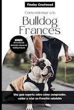 Cómo entrenar a tu Bulldog Francés