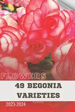 49 Begonia Varieties