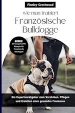 wie man trainiert Französische Bulldogge