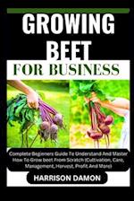 Growing Beet for Business