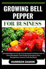 Growing Bell Pepper for Business