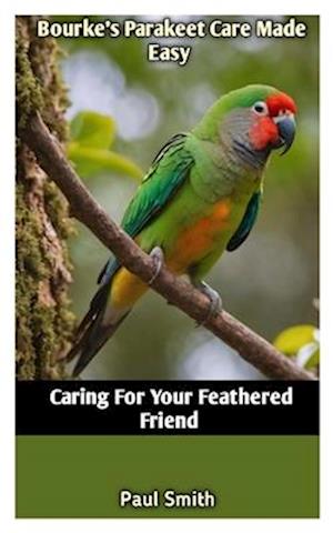 Bourke's Parakeet Care Made Easy