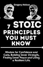 7 Stoic Principles You Must Know