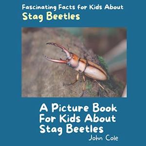 A Picture Book for Kids About Stag Beetles
