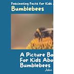 A Picture Book for Kids About Bumblebees
