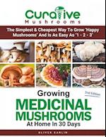 Growing Medicinal Mushrooms At Home In 30 Days