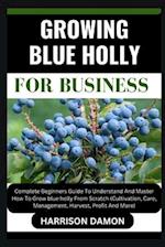 Growing Blue Holly for Business