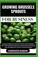 Growing Brussels Sprouts for Business