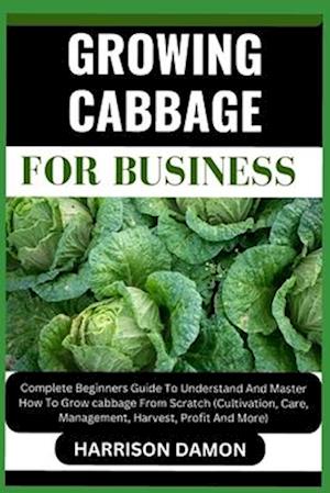 Growing Cabbage for Business