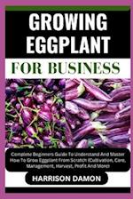 Growing Eggplant for Business