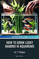 How To Grow Lucky Bamboo In Aquariums