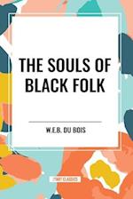 The Souls of Black Folk (An African American Heritage Book)